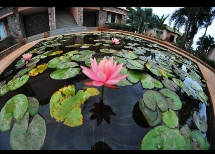 Krishna Heritage Resort Badami Exterior photo